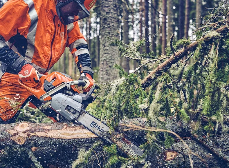 توضیح تصویر